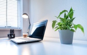 Schreibtisch mit Laptop und Pflanze